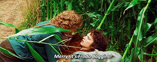 Merry, es Frodo Bolsón