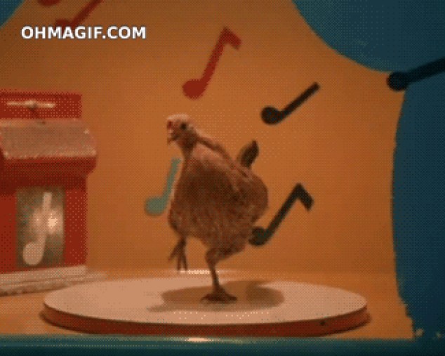 Divertido baile pollo