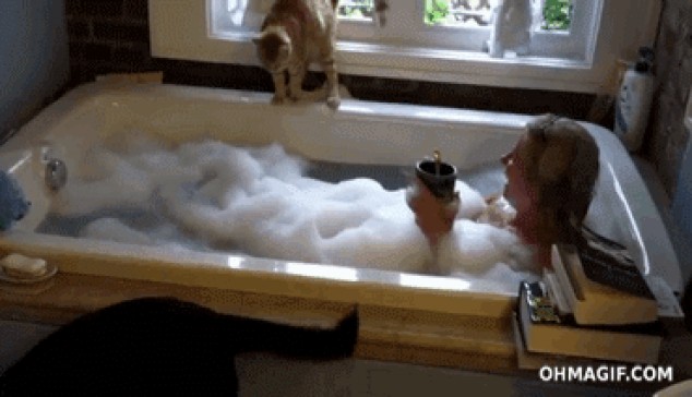 Gracioso gato se resbala y cae en una bañera