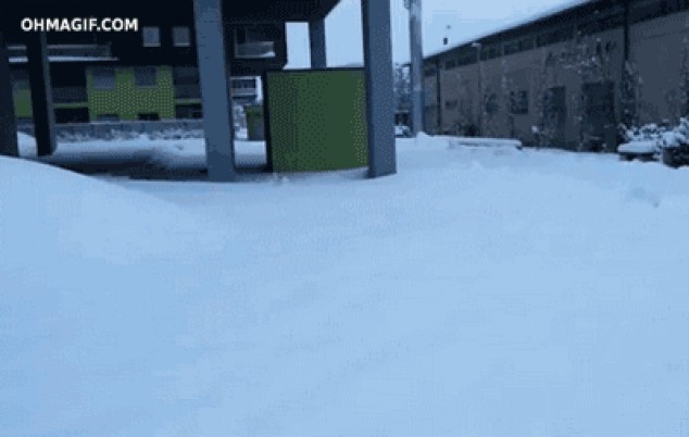Perro saltando por la nieve