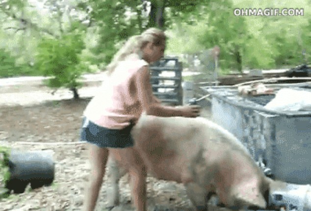 Señora gracioso borracha montando un cerdo